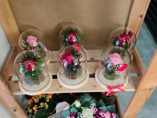 Rosa Eterna en Cúpula 28 cm