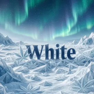 White 2g