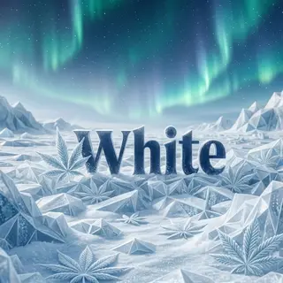 White 1g