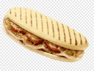 Panini Kebab