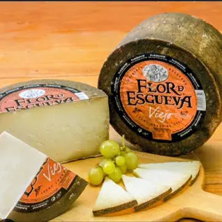 Tapa queso 10 triángulos + -
