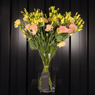 Eustomas Pastel en Jarrón de Cristal