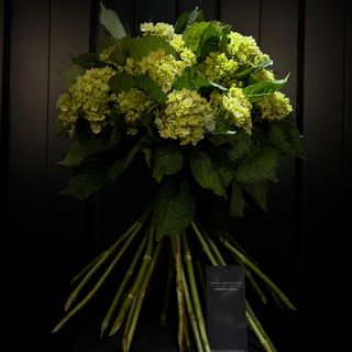 Ramo Premium de Hortensias Verdes