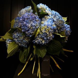 Ramo Azul Hortensia De Araik Galstyan
