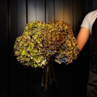 Ramo Premium de Hortensias Antique