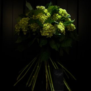 Ramo Premium de Hortensias Verdes