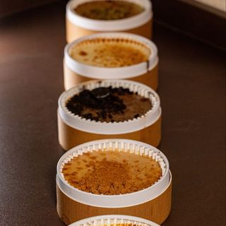 Happy Hippo (Tarta De Queso & Happy Hippo)