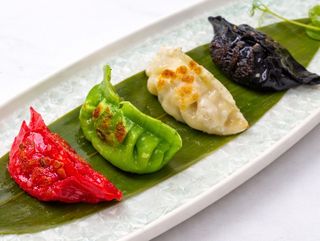 Gyoza Gourmet Estilo Shanghái (4 Uds.)