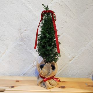 Arbre de Nadal 30cm