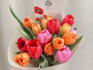 Pack de 16 tulipanes (colores variados)