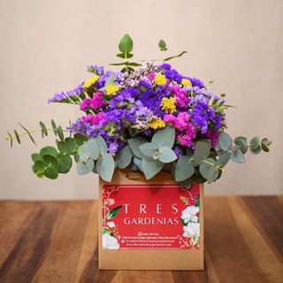 Bouquet de Siemprevivas en Bolsa de Regalo