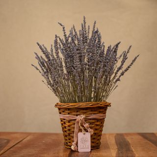 Cesta de lavanda preservada