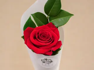 Rosa Roja
