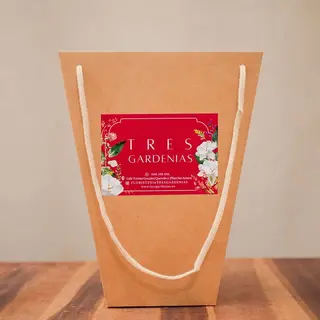 Bolsa Grande para Regalo