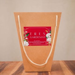 Bolsa Grande para Regalo