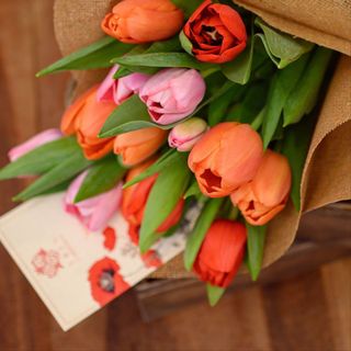 Pack de 10 Tulipanes (Colores Variados)