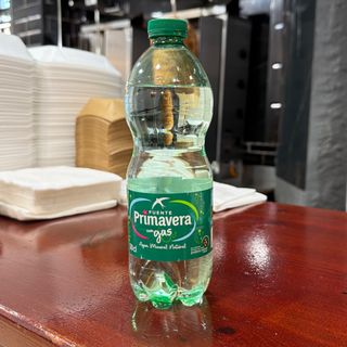 Agua con gas (33 cl.)