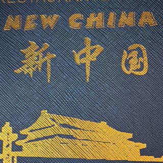Pan chino