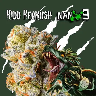 3G Kidd Keo kush CBD Bandoboyz x Nano9 al 90%