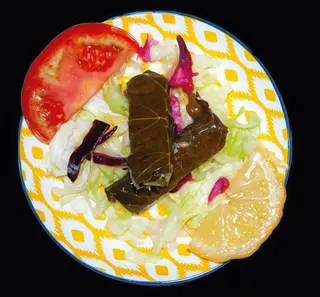 Tapa de hojas de parra