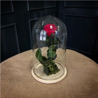 Cupula con una rosa preservada