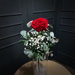 Ramito de una rosa con Paniculata