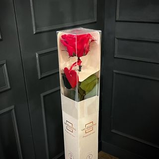 Rosa preservada en caja