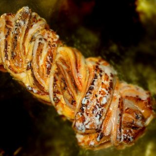 TRENZA GRANDE TUPINAMBA