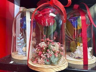 rosa en la cúpula San Valentín