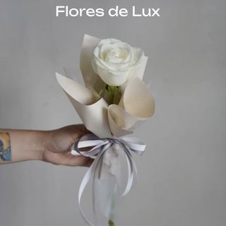 Rosa Blanca 1 Ud