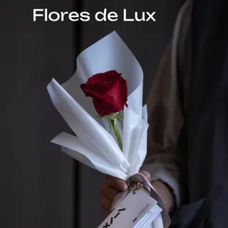 Rosa Roja 1 Ud