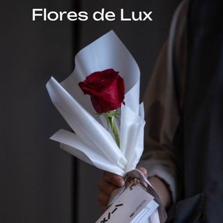 Rosa Roja 1 Ud