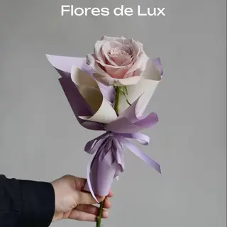 Rosa Rosa 1 Ud