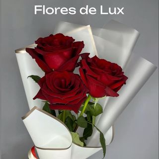 Rosas Rojas 3 Uds