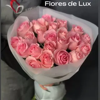 Rosas Rosas 17 Uds
