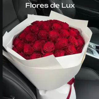 Rosas Rojas 21 Uds
