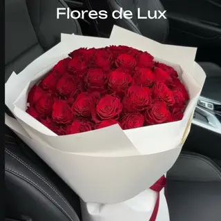 Rosas Rojas 25 Uds