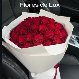 Rosas Rojas 25 Uds