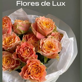 Docena Rosas Naranjas