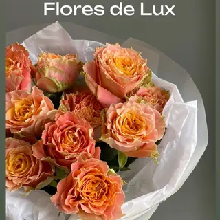 Rosa Naranja 11 Uds