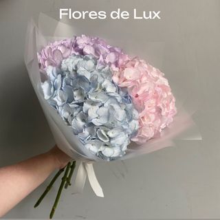 Ramo de Hortensias 3 Uds