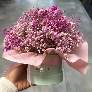 Caja con paniculata seca