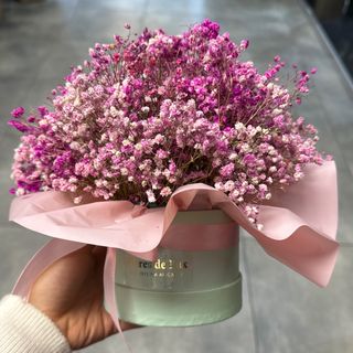 Caja con paniculata seca