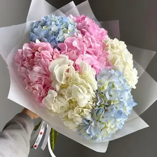 Ramo de Hortensias 5 Uds