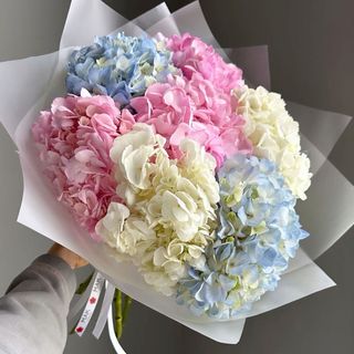 Ramo de hortensias (5 und)