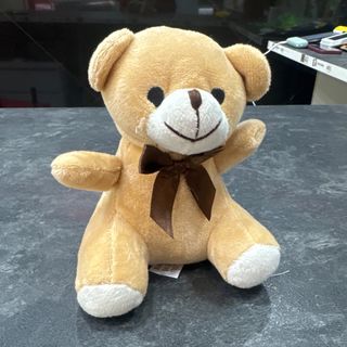 oso de peluche pequeño