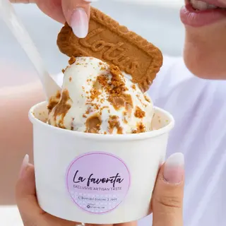 Helado (500 Ml.)
