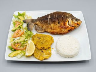Cachama frita