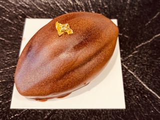 Cacao Bean sin azúcar