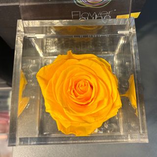 FlowerCube